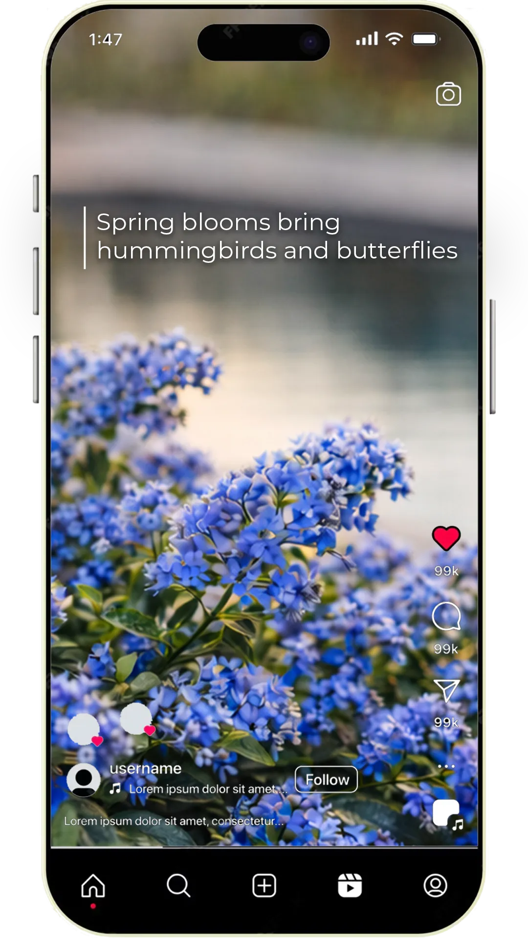 Softscapes information frame presented in a social media interface